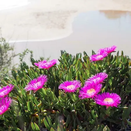 Praia Da Rocha Oceano Indico アパート *
